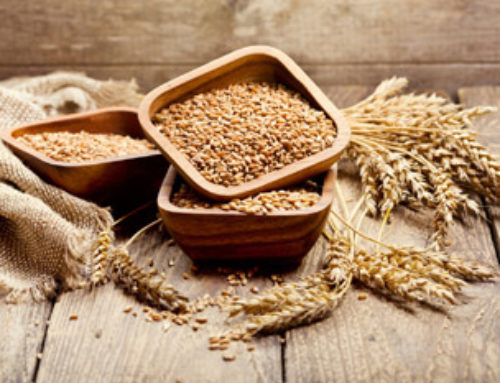Can Eating Wheat Make You Infertile?