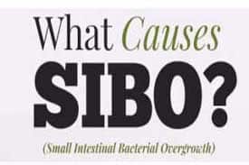Small Intestinal Bacterial Overgrowth or SIBO - What Causes SIBO sign