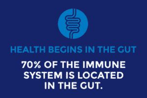 Gut health infographic stating that 70 percent of the immune system in located in the gut